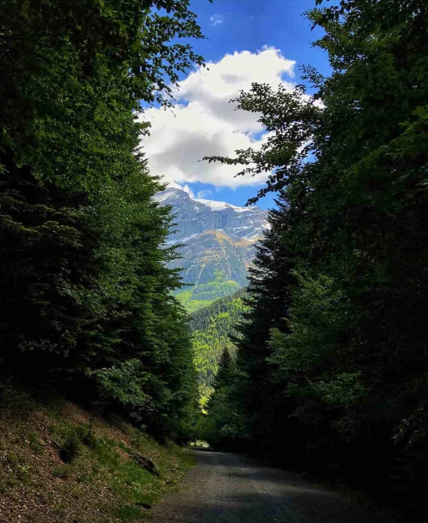 Bosque y montaña del Pirineo en otoño