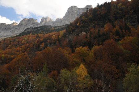 Ladera del valle de Ordesa con los colores del otoño en noviembre