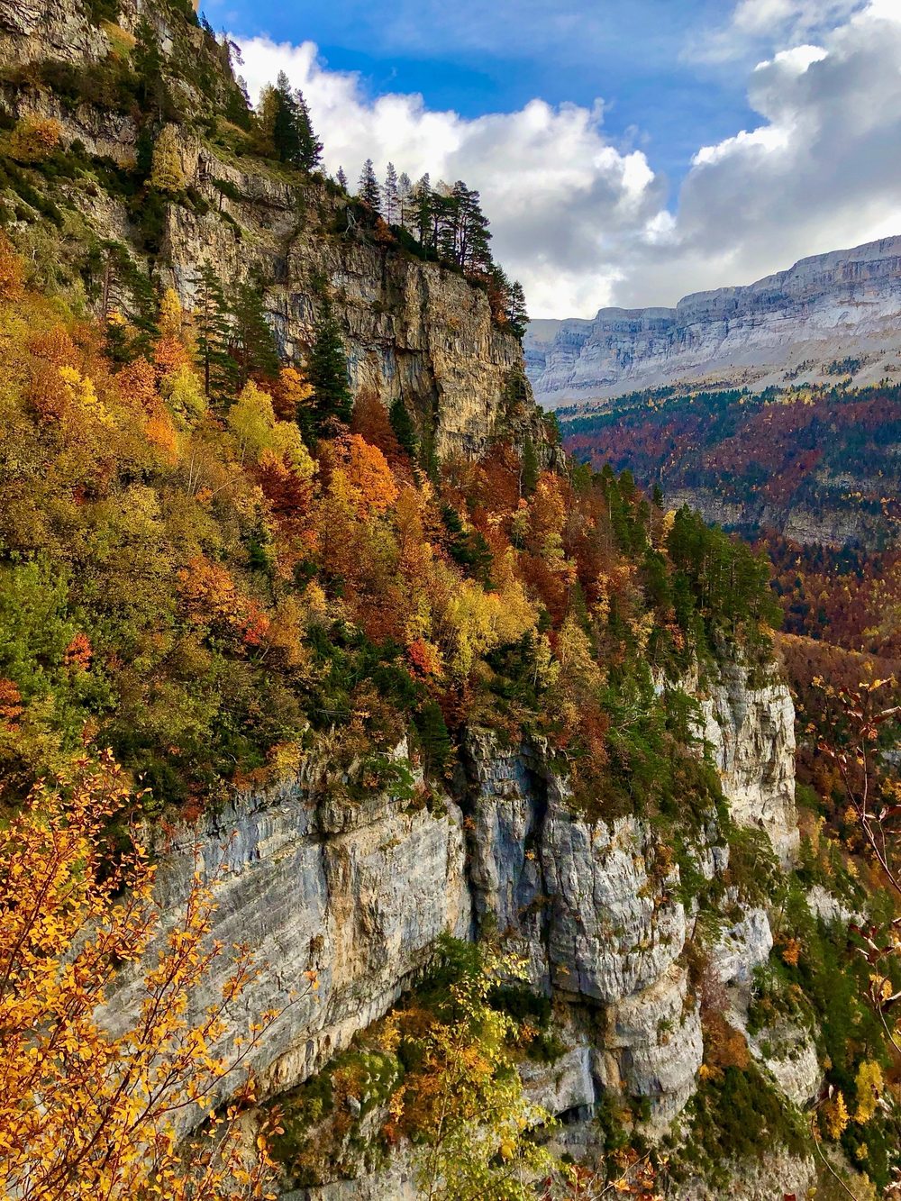 Acantilado y ladera de bosque en colores de otoño en Ordesa