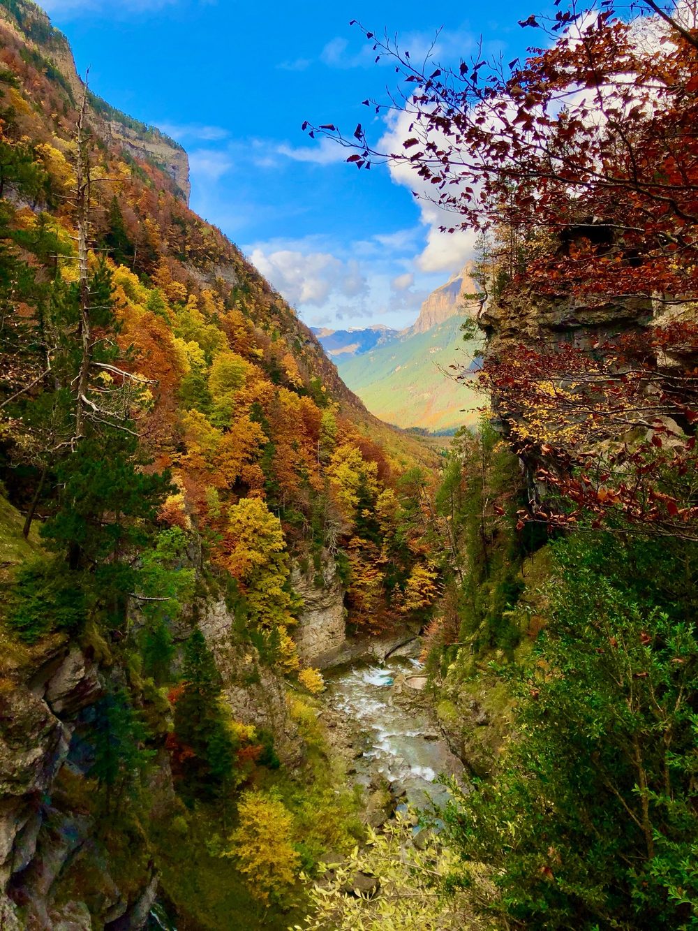 Garganta del río con bosque de otoño y el valle al fondo, en Ordesa